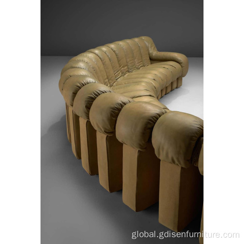 Ds 600 Section Snake-shaped High Quality Sofa Unit Combination S Shape Free Combination Outdoor Furniture Set De Sede 'Snake' DS 600 Section Snake-Shaped High Quality Sofa Unit Combination S Shape Free Combination Supplier